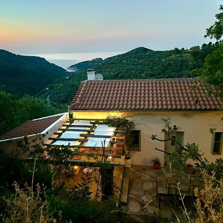 Olive Mill Cottage Skopelos Town Ngoại thất bức ảnh